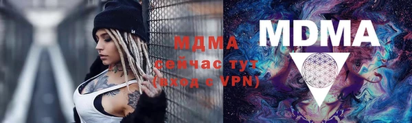 молекула духа Вяземский