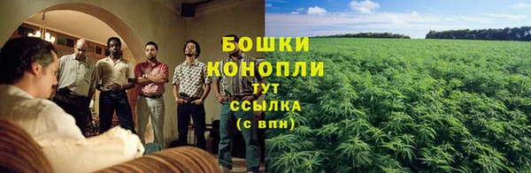 прущая мука Вязники