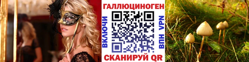 сколько стоит  Чистополь  Галлюциногенные грибы мицелий 