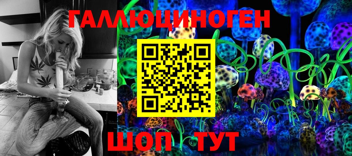Псилоцибиновые грибы Psilocybe  где можно купить   Чистополь  Вход с VPN 