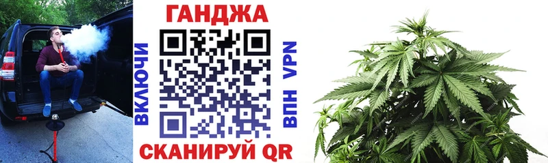 Бошки марихуана план  Чистополь 